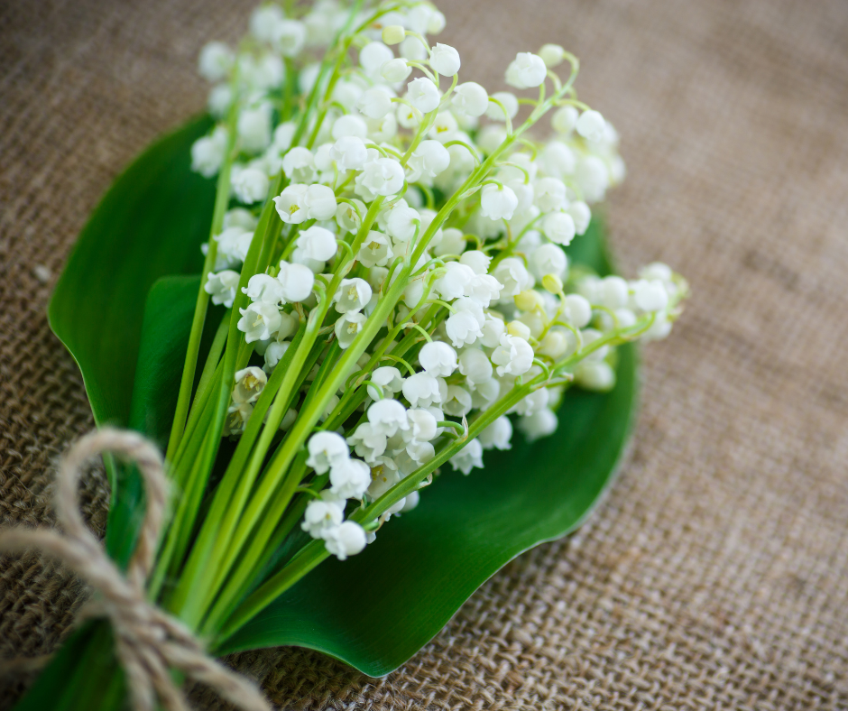 2nd wedding anniversary | lily of the valley